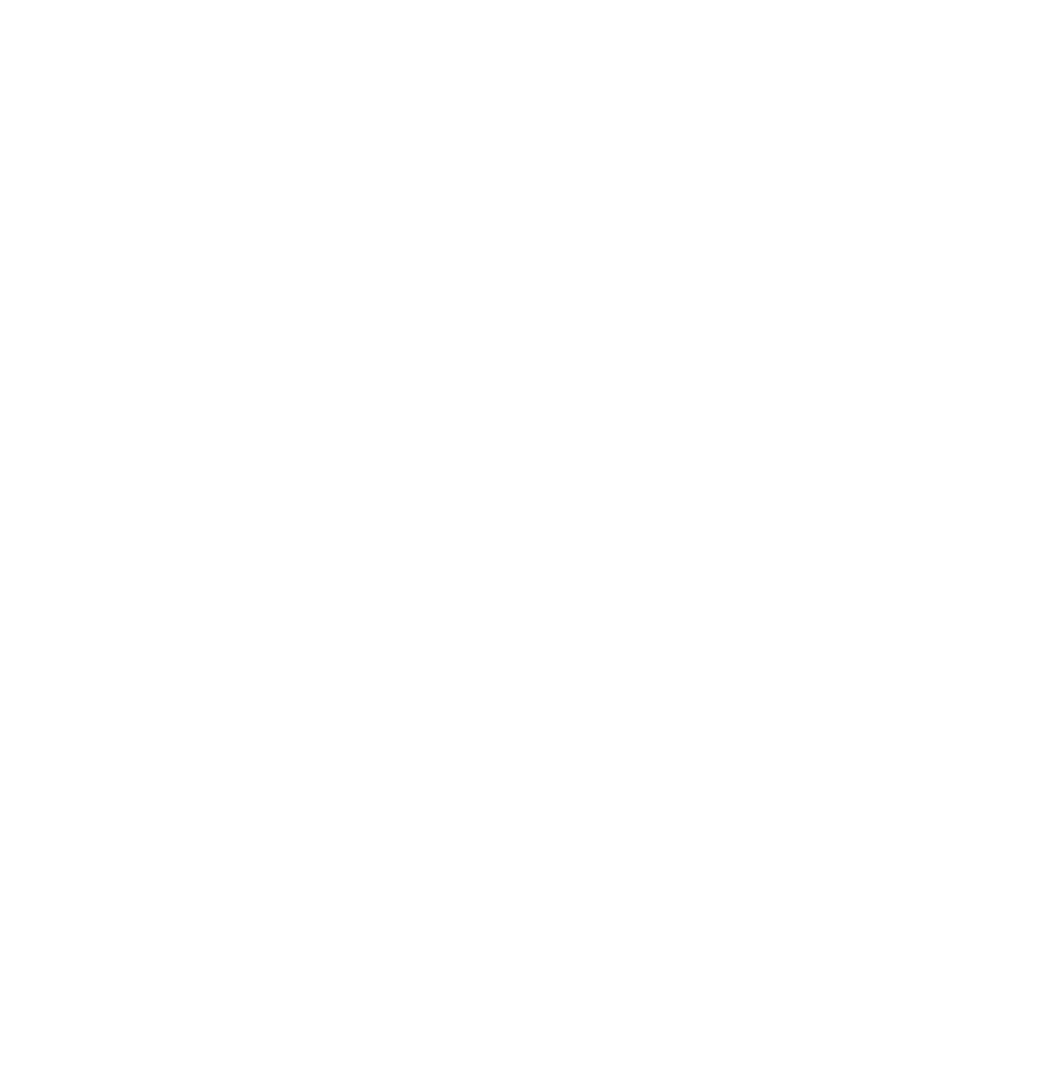 AAFF LOGOTIPO PURA TINTA_1-07 (1)